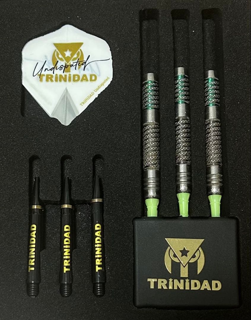 TRINIDAD Ricardo Type C2 ダーツ 22.5g リカルド