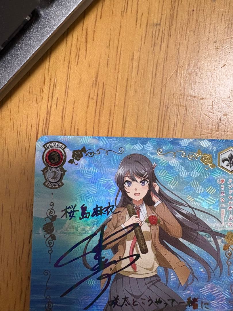 君と過ごした一年間 桜島麻衣ABR