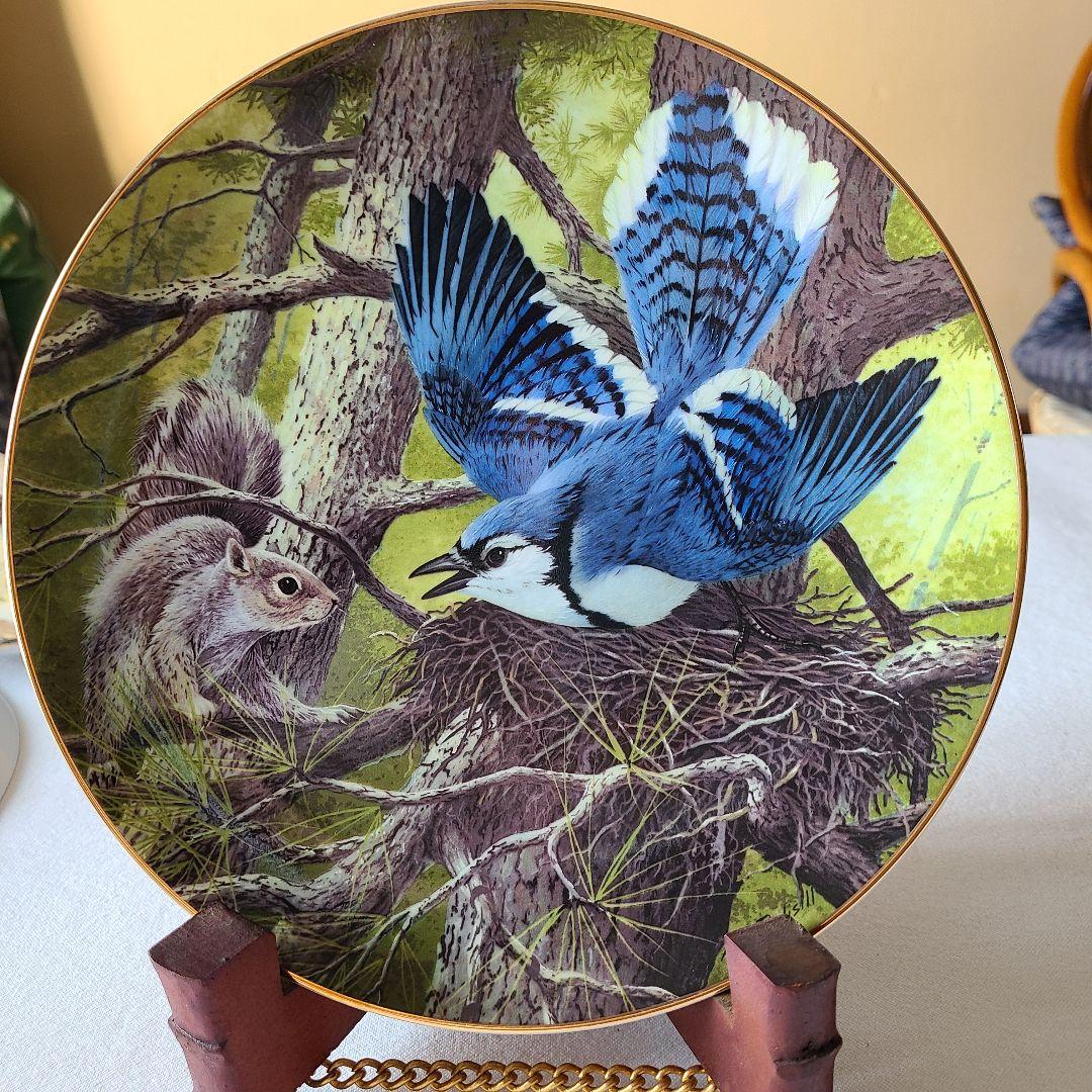 A.Jルディシル　プレート12枚セット