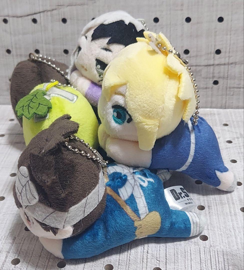 ドクスト セット