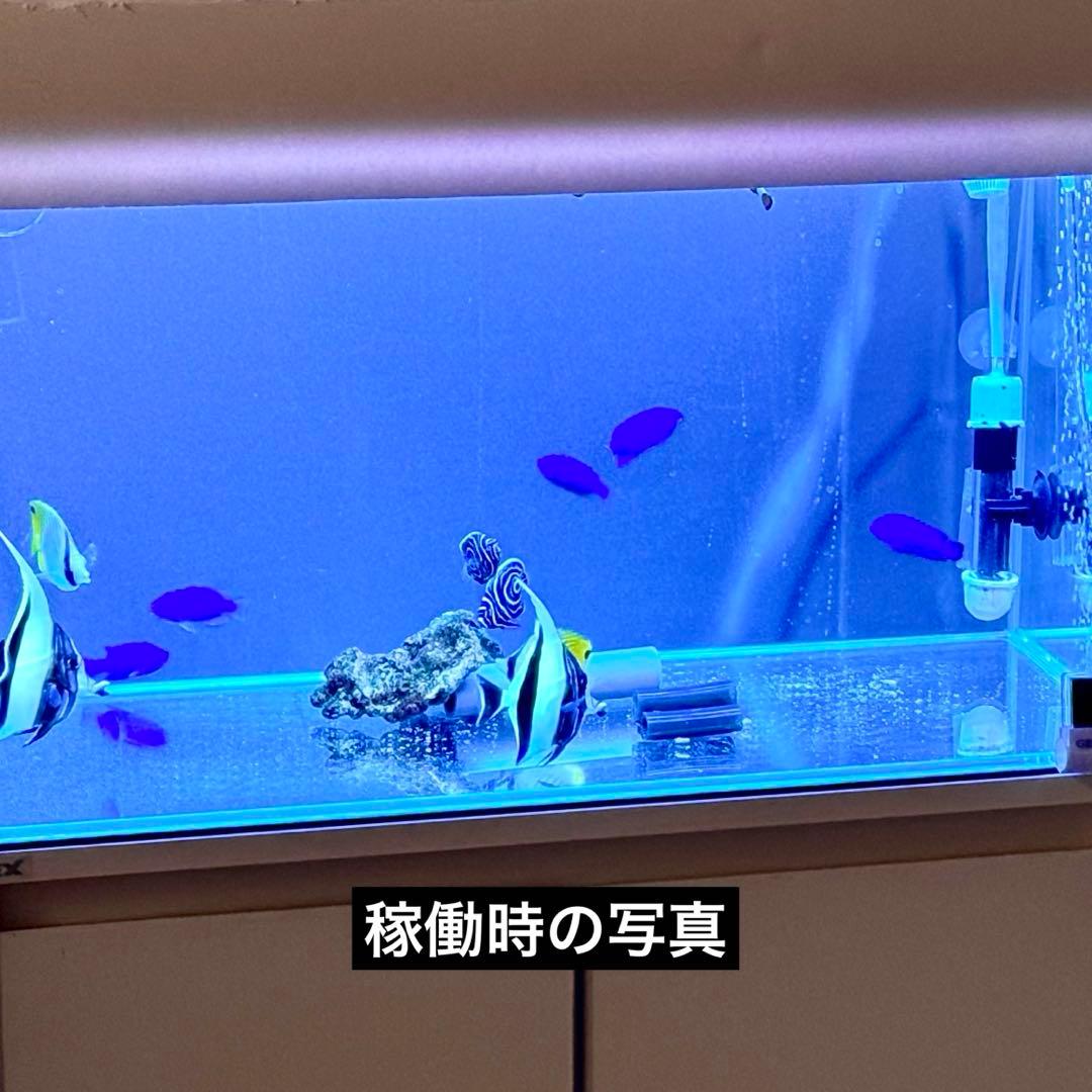 【引き取り限定】 60cmオールガラス水槽台セット