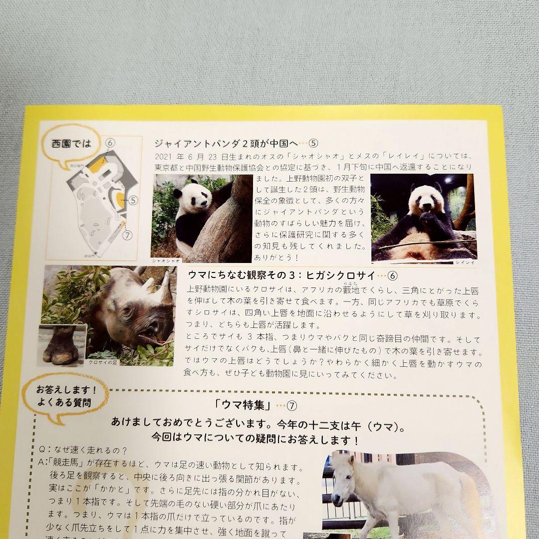 上野動物園　レイレイ　蕾蕾　ミニぬいぐるみ