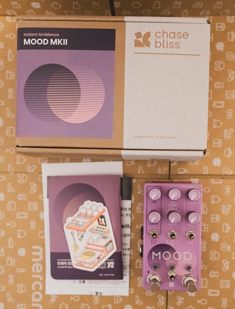 ギター Chase Bliss Audio / Mood MKII