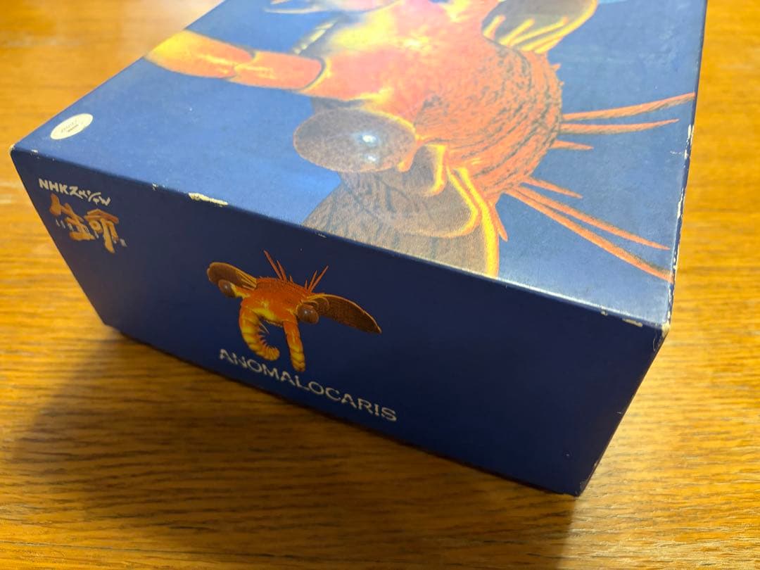 アノマロカリス　「NHK 生命 40億年はるかな旅」復元モデル