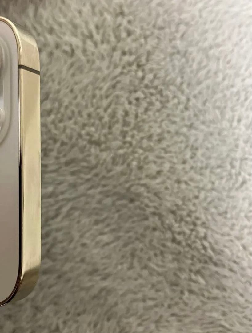 【最終値下げ】iPhone 12 Pro 256GB 本体のみ