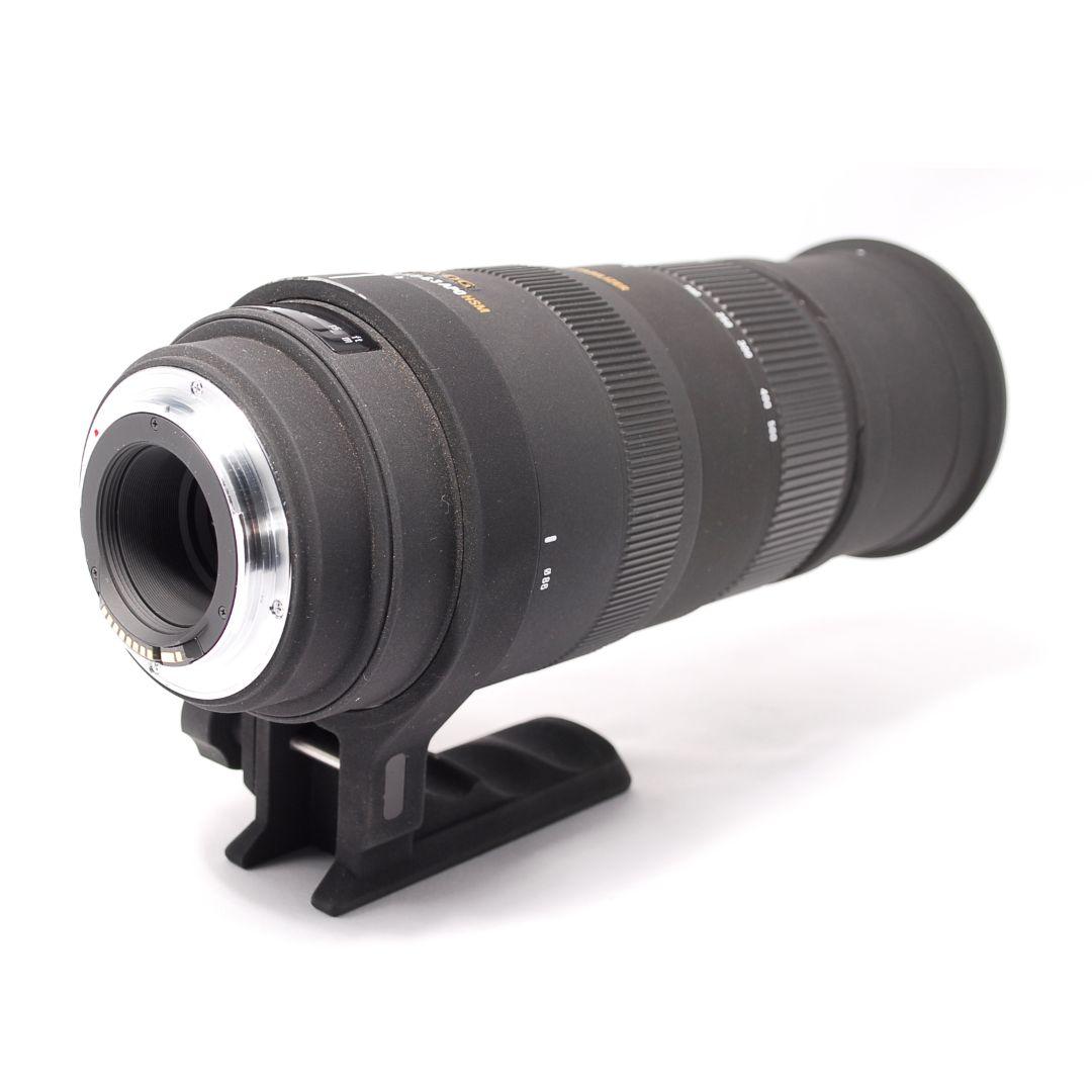 ❤即購入1000円OFF❤ SIGMA 150-500mm DG OS HSM