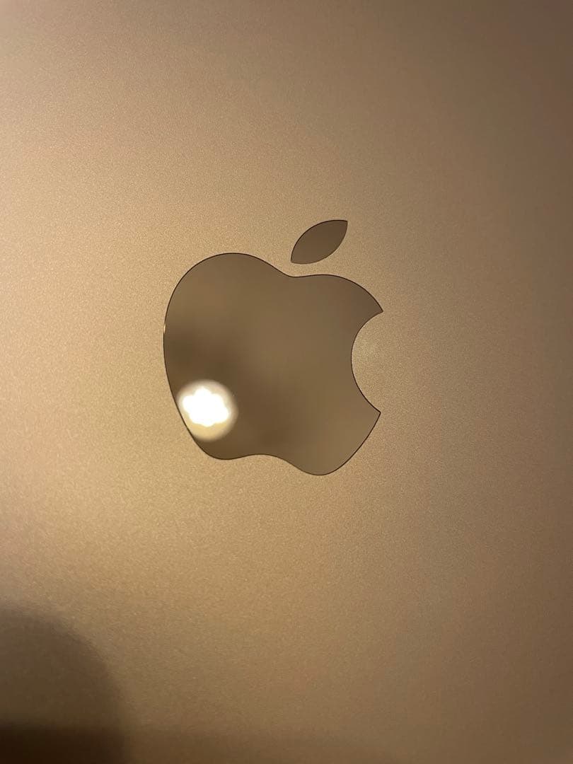 MacBook Pro M1 2020 8GB/256GB/シルバー/完品