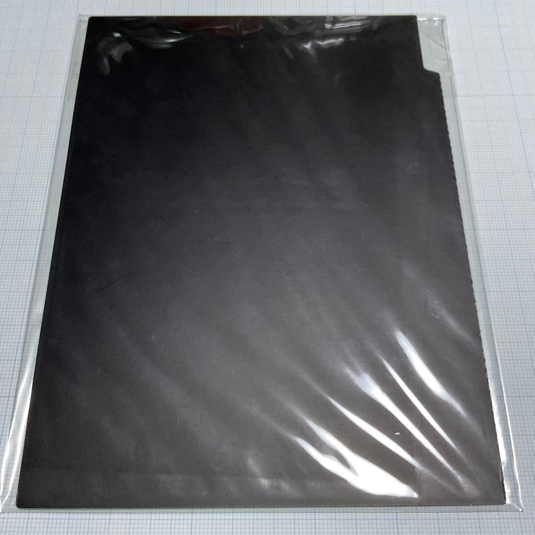 エヴァンゲリオン 破 特典 フィルム 碇シンジ