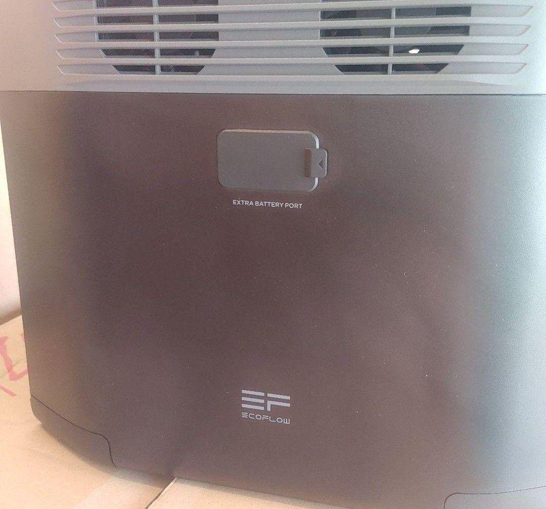 大*樹様 正規整備済品　EcoFlow DELTA 2 ポータブル電源