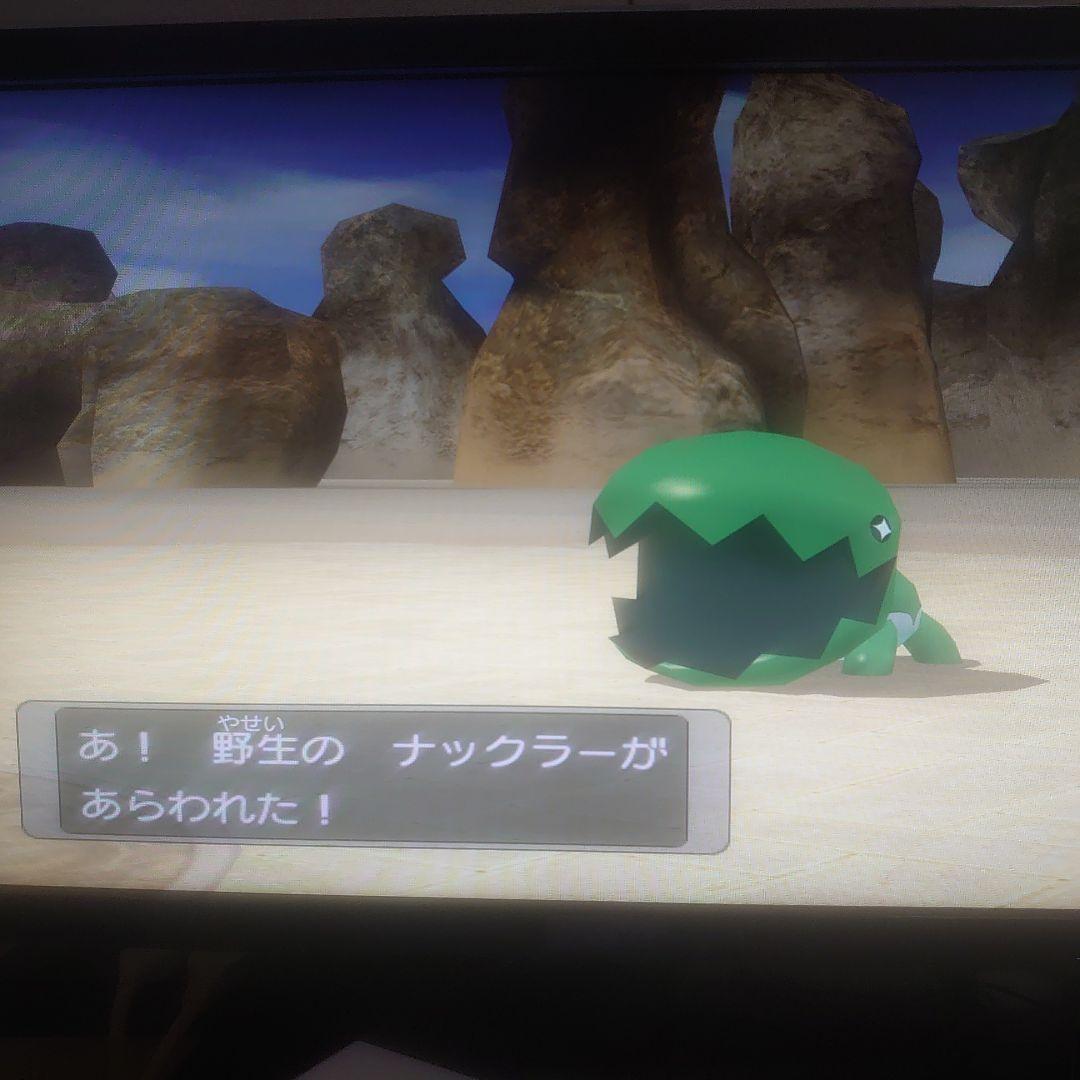 乱数調整　受付用　メモリーカード　ポケモンコロシアム　など