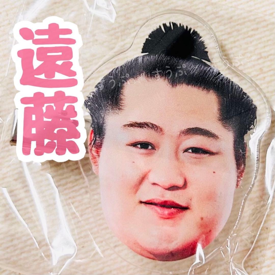 ♡チェブラーシカ♡様② 専用です✩.*˚(10月1日まで)