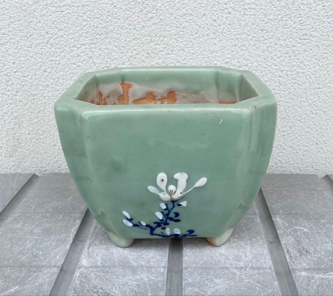 尾張焼 瀬戸焼 青磁 梅柄 角形 盆栽鉢 盆栽 植木鉢