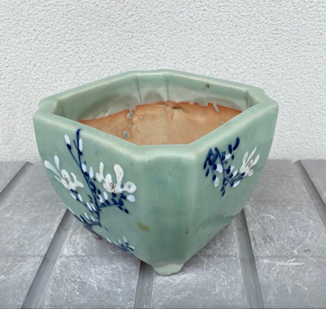 尾張焼 瀬戸焼 青磁 梅柄 角形 盆栽鉢 盆栽 植木鉢
