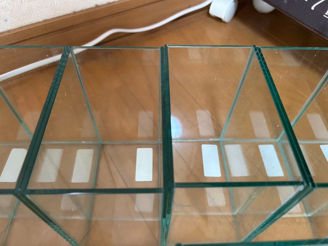 ベタ　コレクションケースM 12個