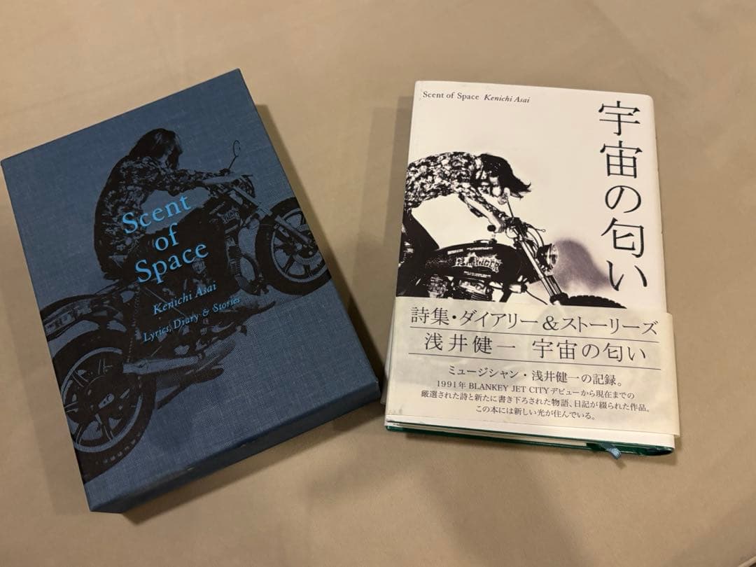 浅井健一 宇宙の匂い 詩集・ダイアリー&ストリーズ 初版