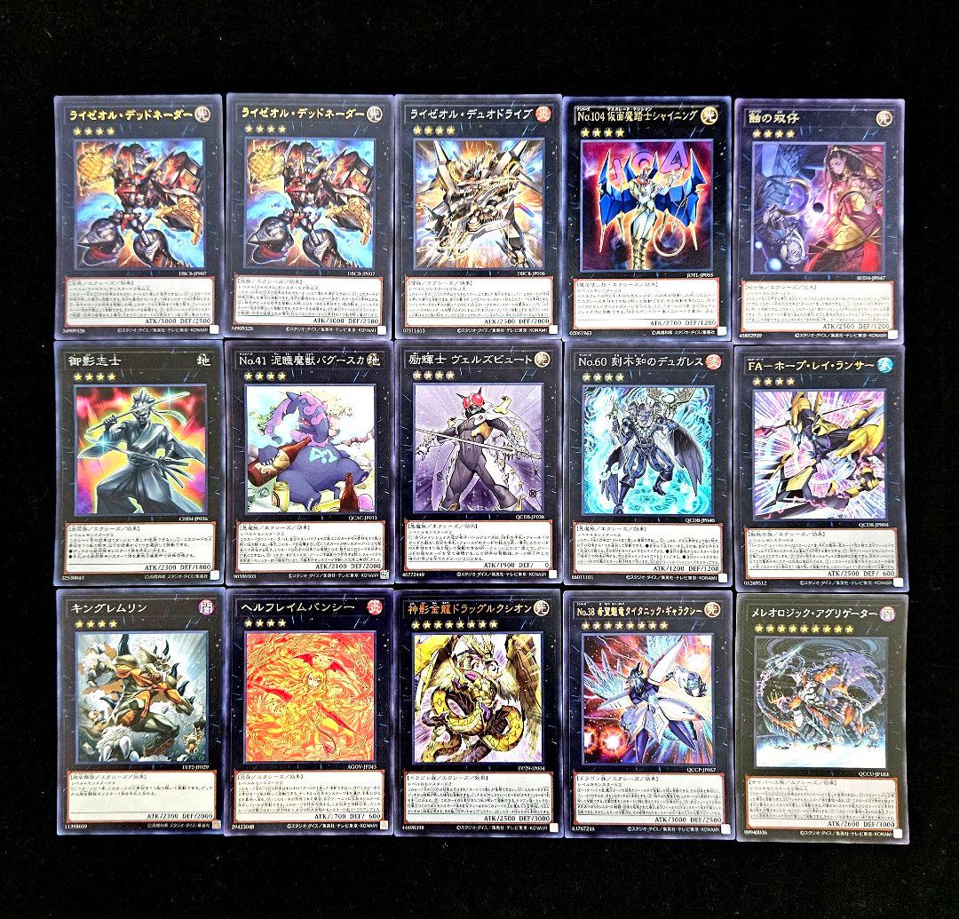 遊戯王 【本格構築‼️】巳剣 ライゼオル 構築済みデッキ‼️ 大会 下準備