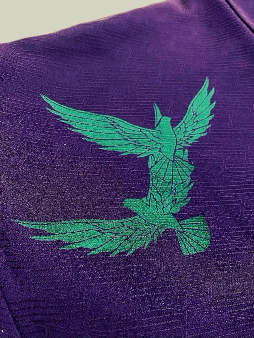 作家振袖 振袖 斉藤三才 鳥 振りぼかし 紋意匠 身丈166cm