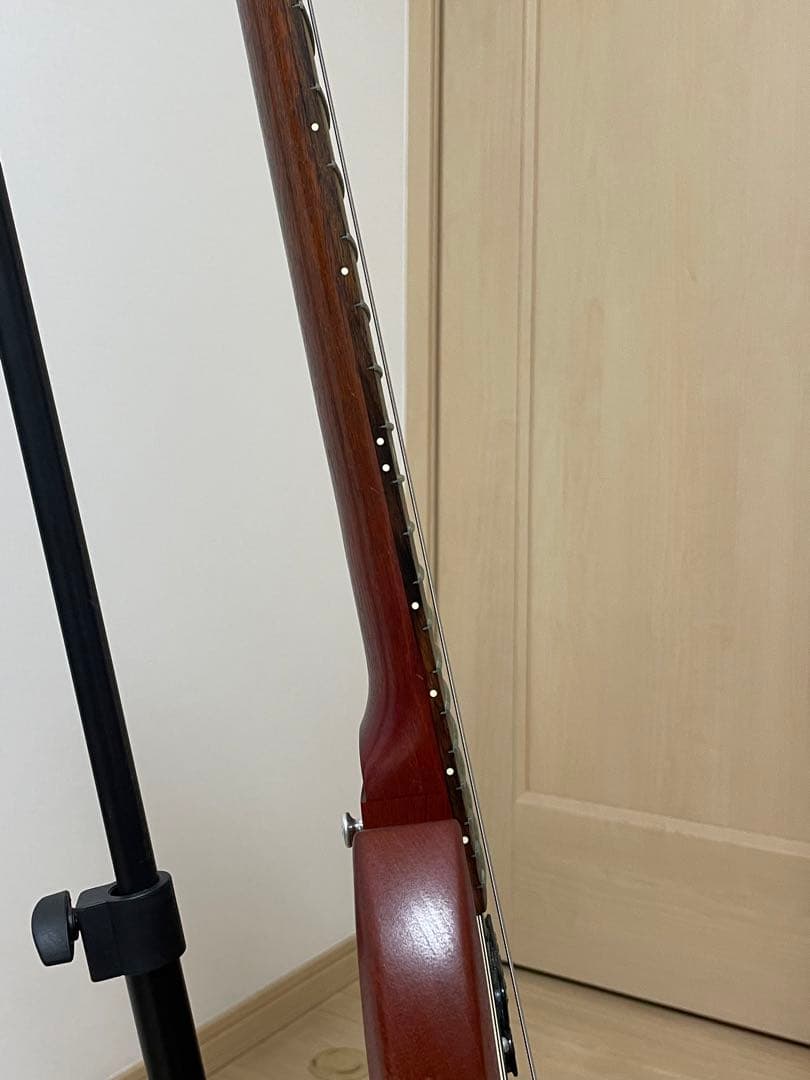 Gibson SG （ソフトケース付き）