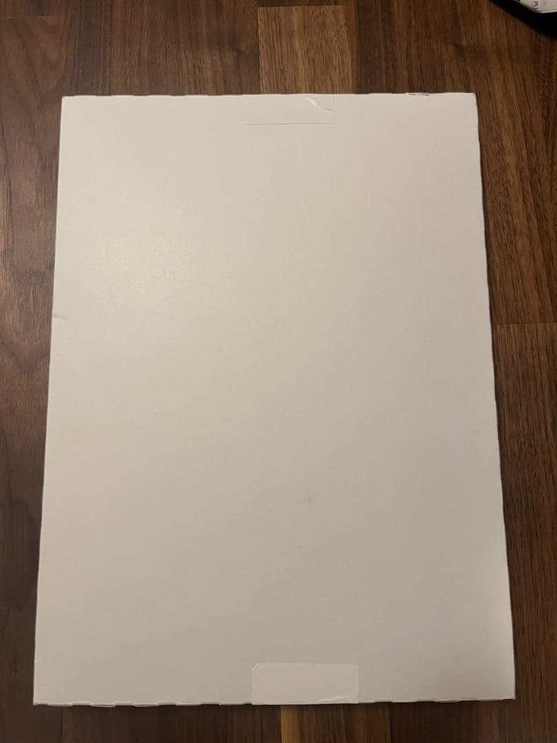 【2個入】奇跡の歯ブラシ　ソニック　本体　電動