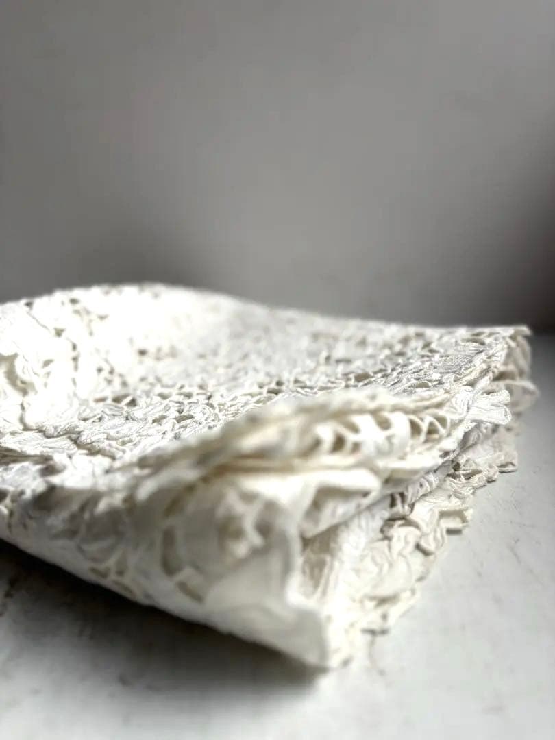 789 フランスアンティーク 美しいエンブロイダリーレース クロス 蚤の市購入