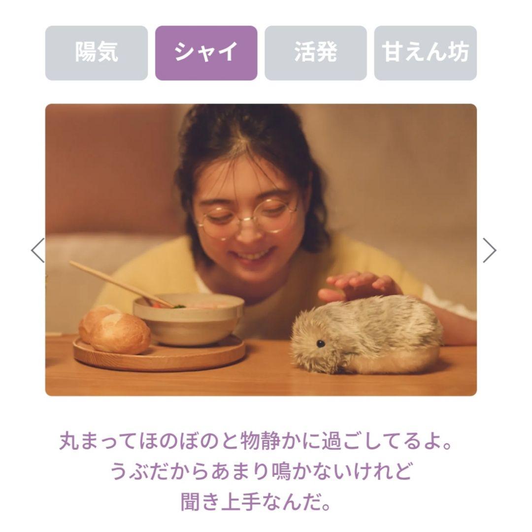 ◆限定お値下げ◆24時間内発送【未開封新品】AIペット モフリン-Moflin-