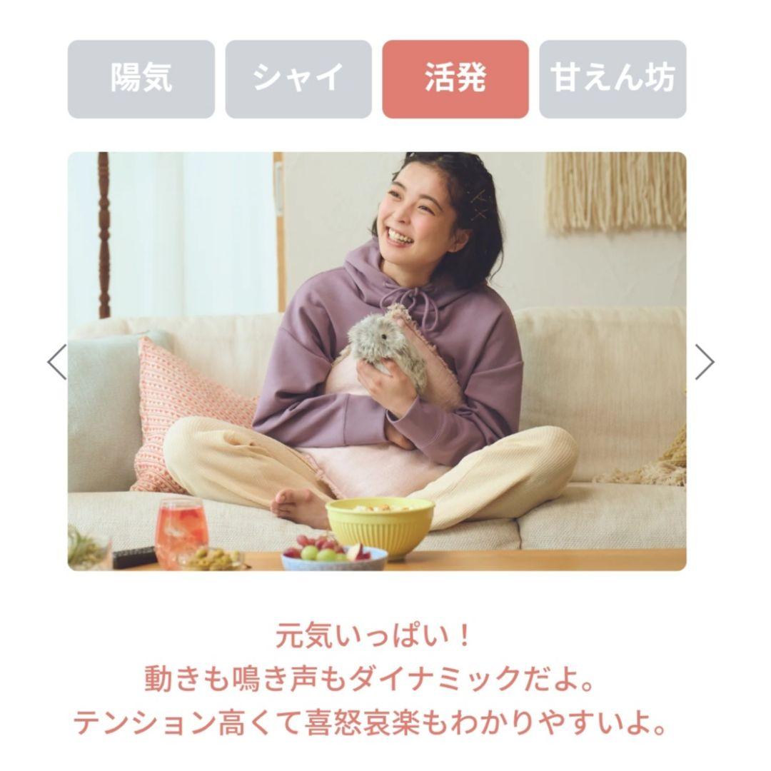 ◆限定お値下げ◆24時間内発送【未開封新品】AIペット モフリン-Moflin-