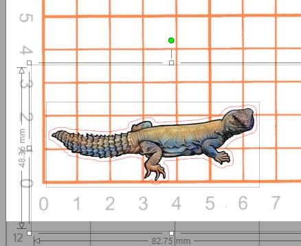 [即購入×！プロフ必読！お急ぎ対応可○]爬虫類ステッカー