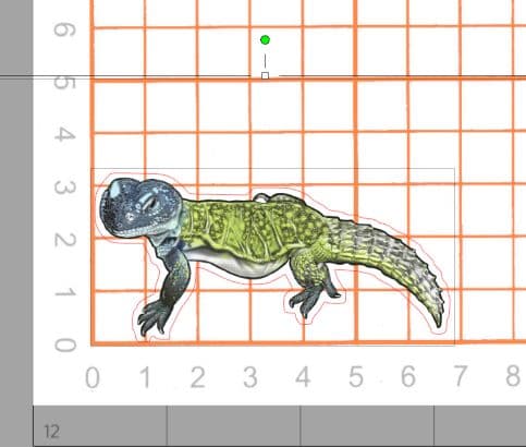 [即購入×！プロフ必読！お急ぎ対応可○]爬虫類ステッカー