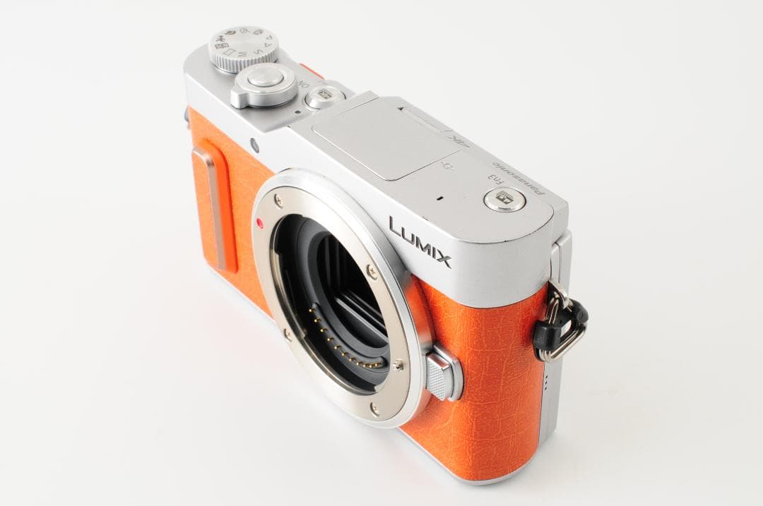 パナソニック Panasonic LUMIX DC-GF10 レンズキット