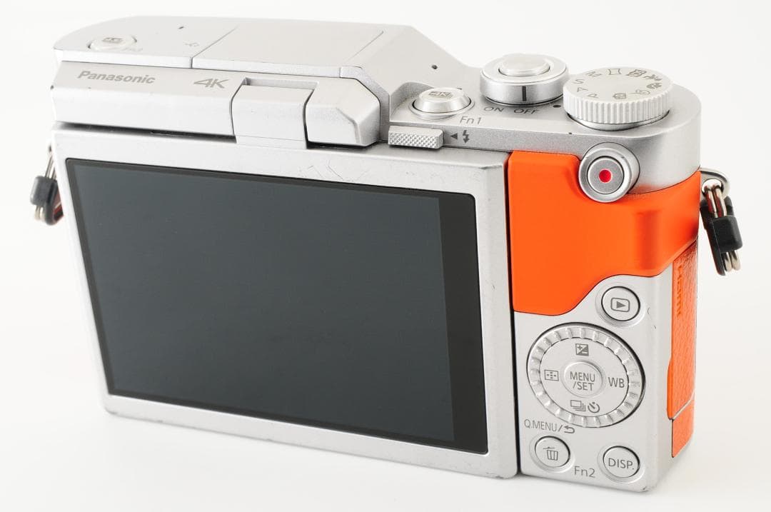 パナソニック Panasonic LUMIX DC-GF10 レンズキット