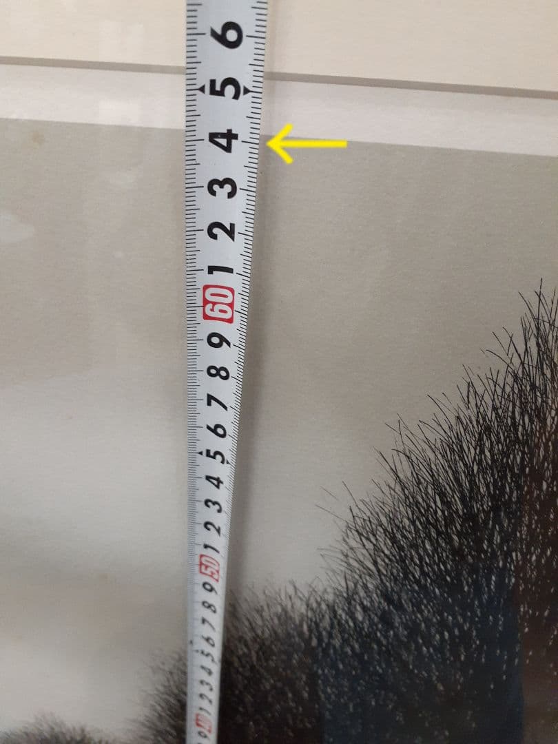 JACQUES DEPERTHES-ジャック・デペルトゴルフ絵画！35/40！