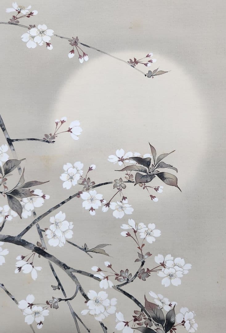 【夜桜図】本田蕉風 2703 川合玉堂門 共箱 掛け軸 肉筆