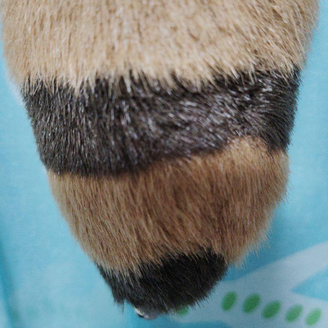 サンリオ ハローキティ しっぽ倶楽部 アライグマ マスコットホルダー ぬいぐるみ