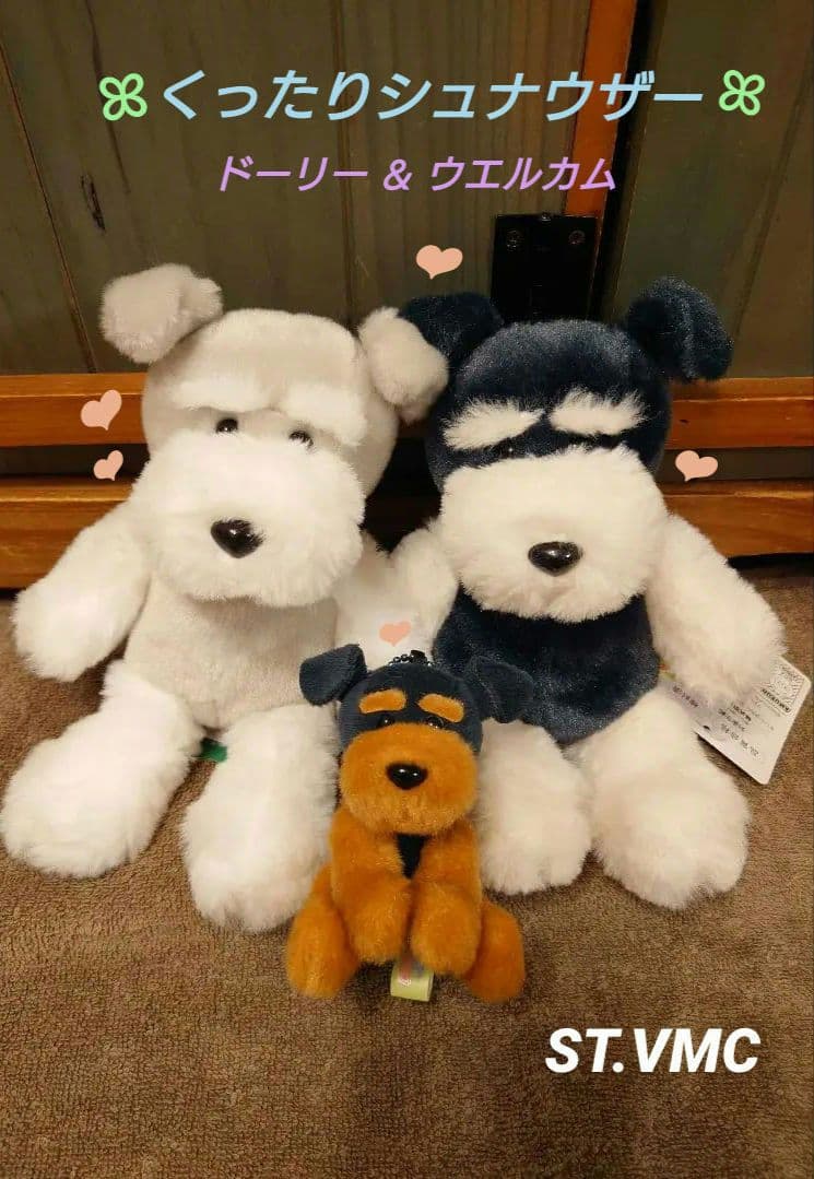 くったりシュナウザー ドーリー ＆ ウエルカム   セット