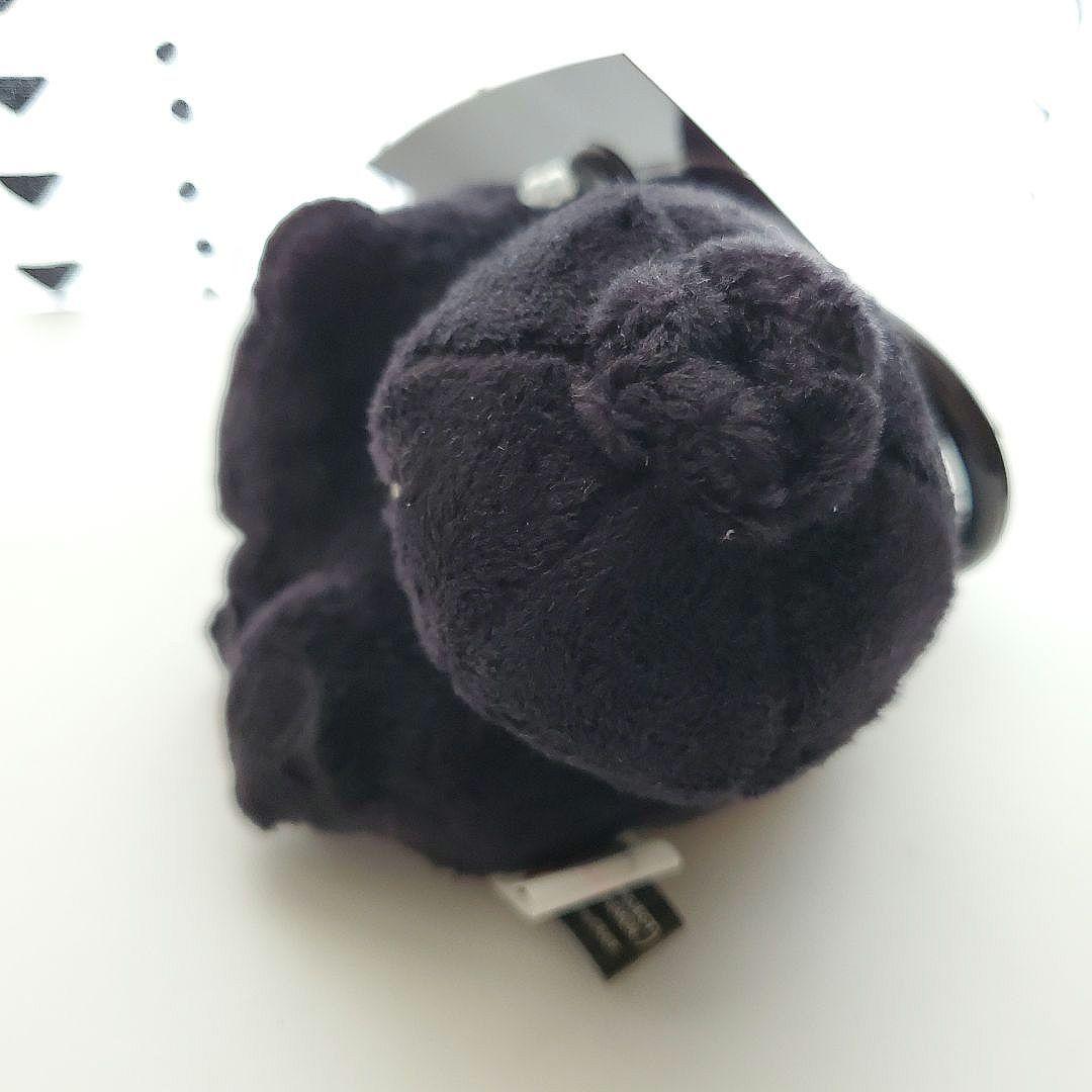 公式サイト購入 フラグメント ヒトカゲ フシギダネ ゼニガメ ポケモン