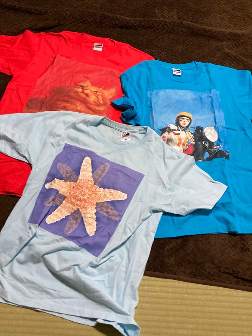 ろんげろさん　専用　 スピッツ　Tシャツ 3枚セット