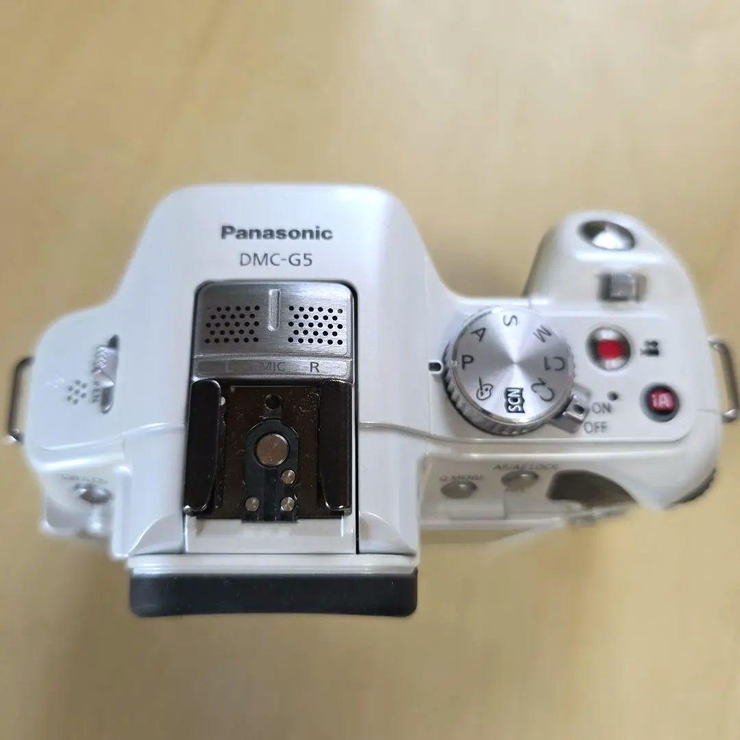 LUMIX DMC-G5 極美品