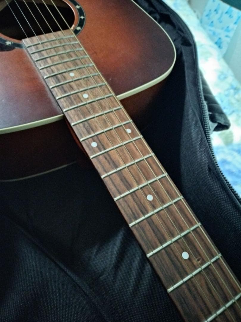 Norman b18 cedar アコースティックギター