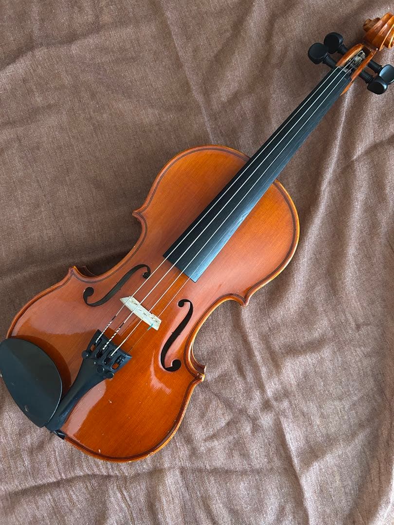 スズキ 1/2 バイオリン 310 一式セット