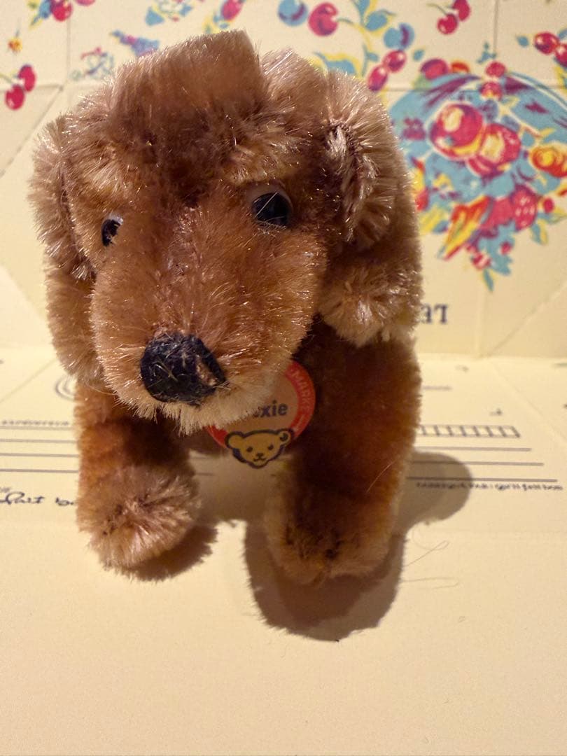 ベルリン購入　超美品シュタイフ 1950年代のダックスフンド　グラスアイ