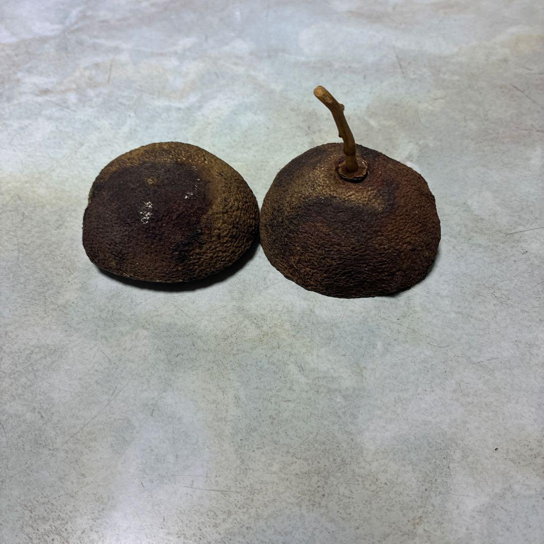 茶道具 黒色陶器 果実型