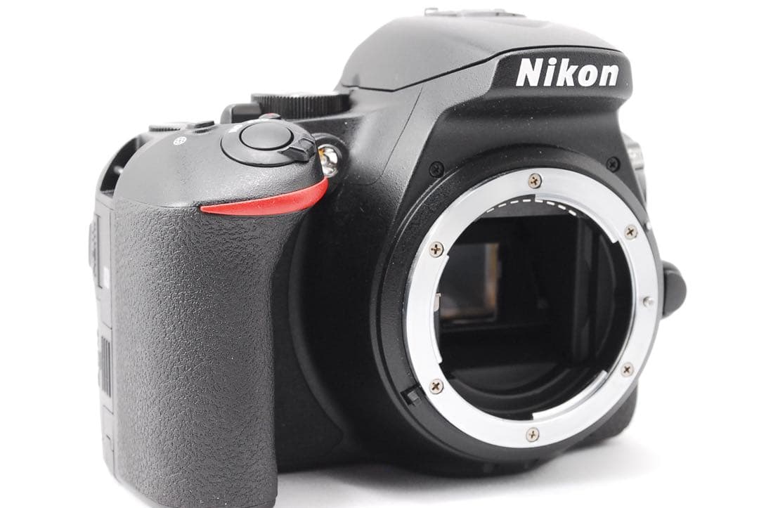 美品✨Nikon D5600 ダブルレンズ カメラバッグ付き✨S数1729回