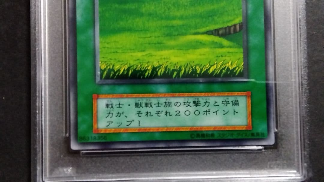 d*3様 【PSA10】「草原」初期 スタジオダイス版