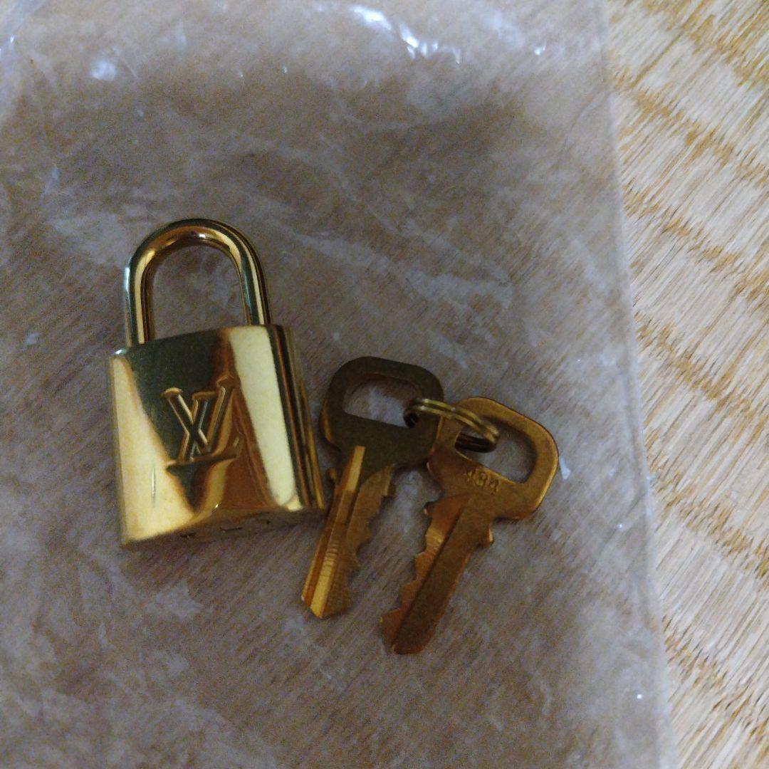 ルイ・ヴィトン　モノグラム　ペガス55