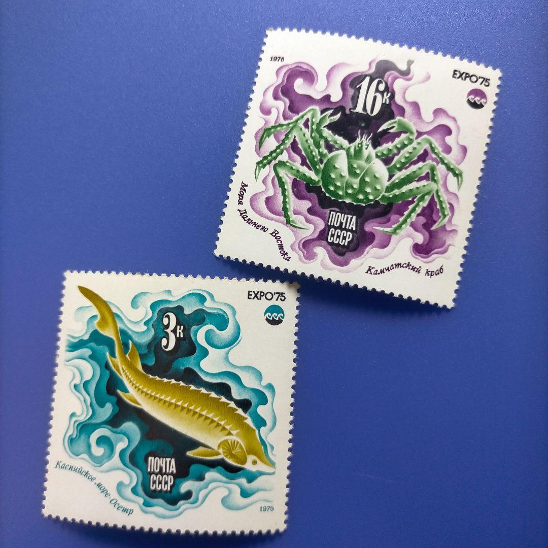 4033　外国切手　旧ソ連　1975年EXPO'75 冲縄国際海洋博会　6種完
