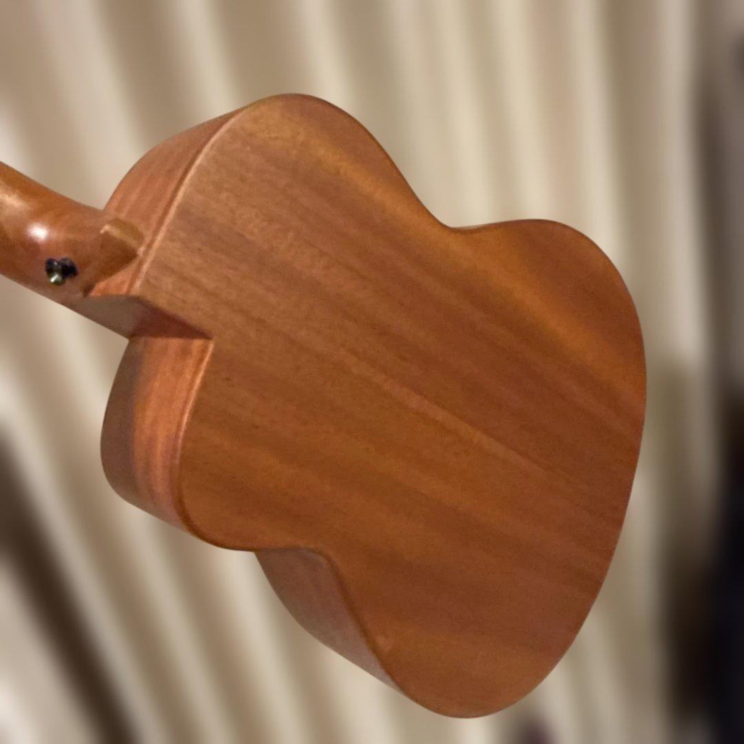 anuenue bird guitar ann－m2