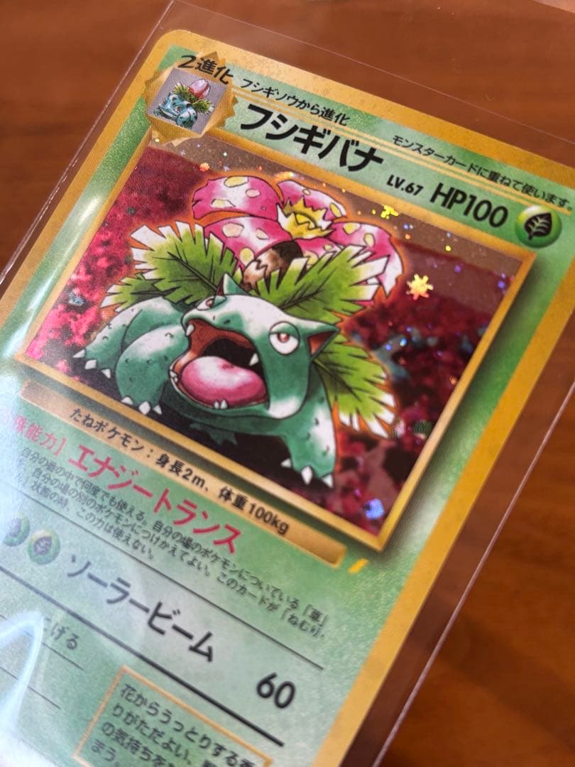 【極美品】フシギバナ_「とりかえっこプリーズ」 キャンペーンカード PROMO