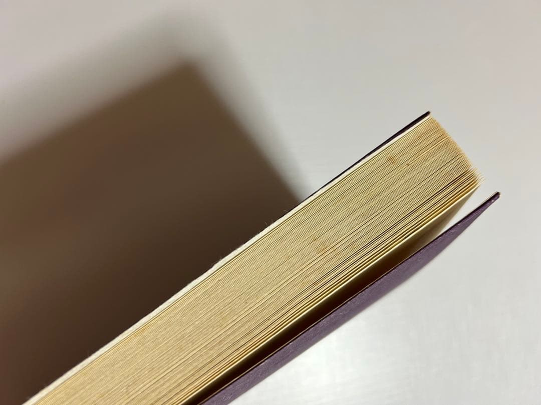 天照皇大御神司命神 岩長姫命神示録