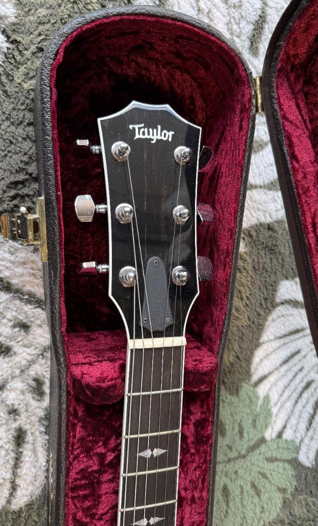 Taylor エレアコ T5 Pro TB