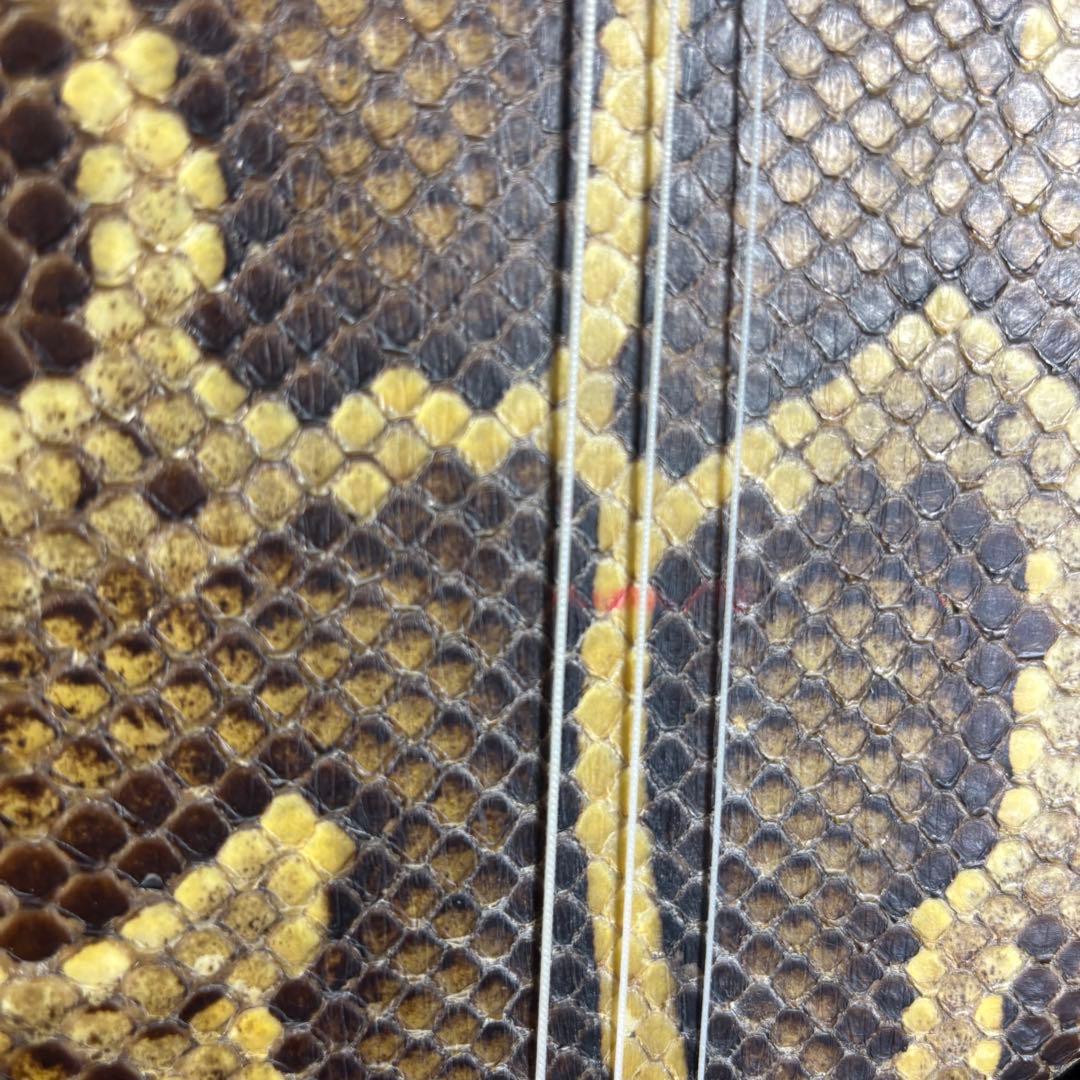 沖縄三線 本蛇革仕様 本皮